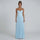 Colette Pleated Maxi Dress